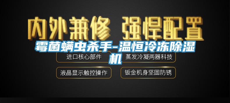 霉菌螨虫杀手-温恒冷冻除湿机