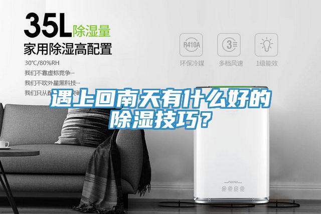 遇上回南天有什么好的除湿技巧？