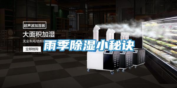 雨季除湿小秘诀