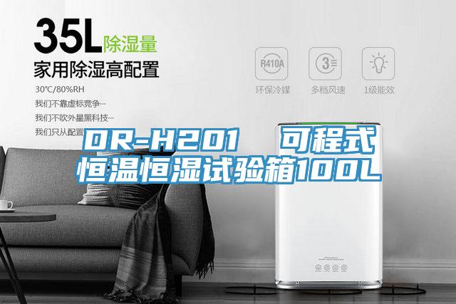 DR-H201  可程式恒温恒湿试验箱100L