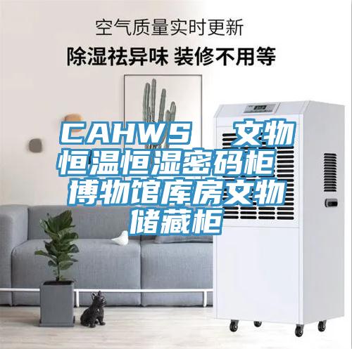 CAHWS  文物恒温恒湿密码柜 博物馆库房文物储藏柜