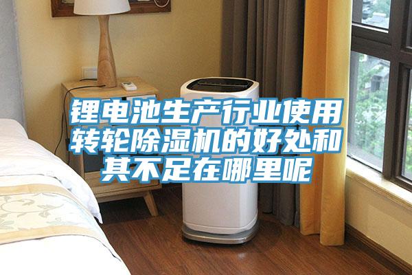 锂电池生产行业使用转轮除湿机的好处和其不足在哪里呢
