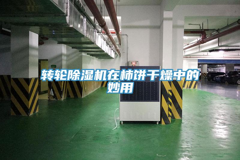 转轮除湿机在柿饼干燥中的妙用