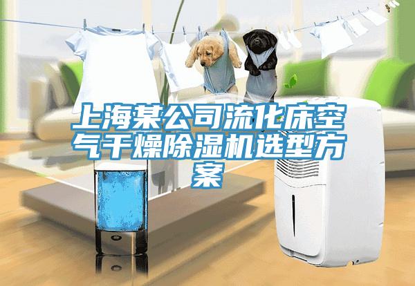 上海某公司流化床空气干燥除湿机选型方案