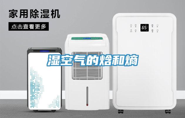 湿空气的焓和熵