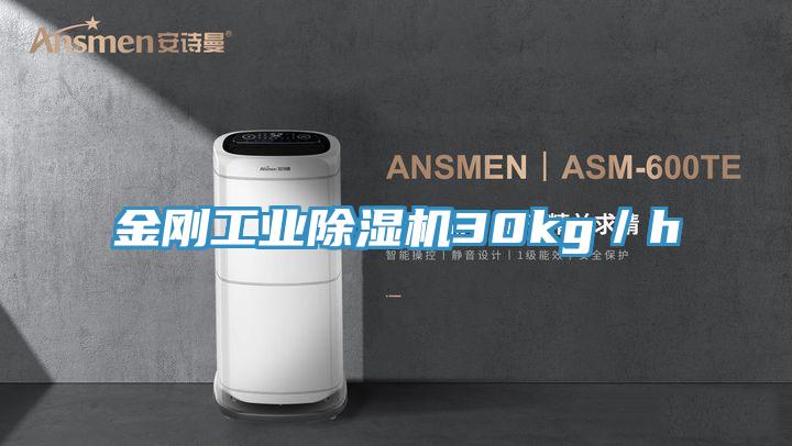 金刚工业除湿机30kg／h