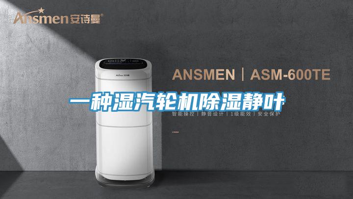 一种湿汽轮机除湿静叶