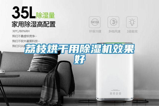 荔枝烘干用除湿机效果好