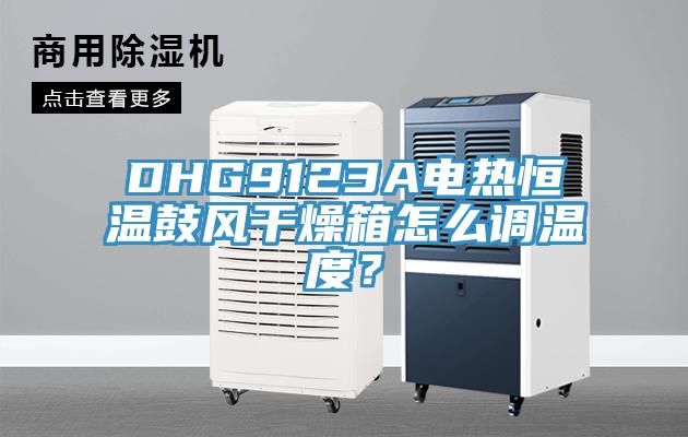 DHG9123A电热恒温鼓风干燥箱怎么调温度？