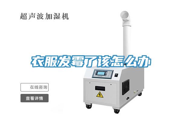 衣服发霉了该怎么办