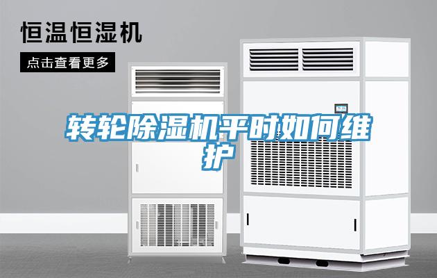 转轮除湿机平时如何维护