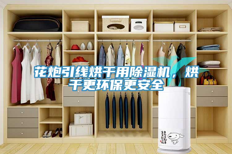 花炮引线烘干用除湿机，烘干更环保更安全