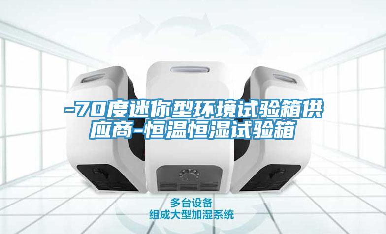 -70度迷你型环境试验箱供应商-恒温恒湿试验箱