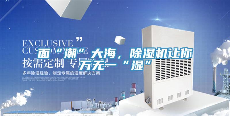 面“潮”大海，除湿机让你万无一“湿”