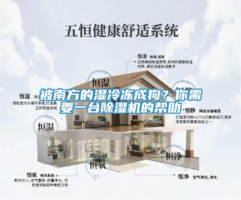 被南方的湿冷冻成狗？你需要一台除湿机的帮助