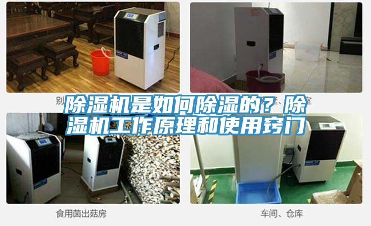 除湿机是如何除湿的？除湿机工作原理和使用窍门