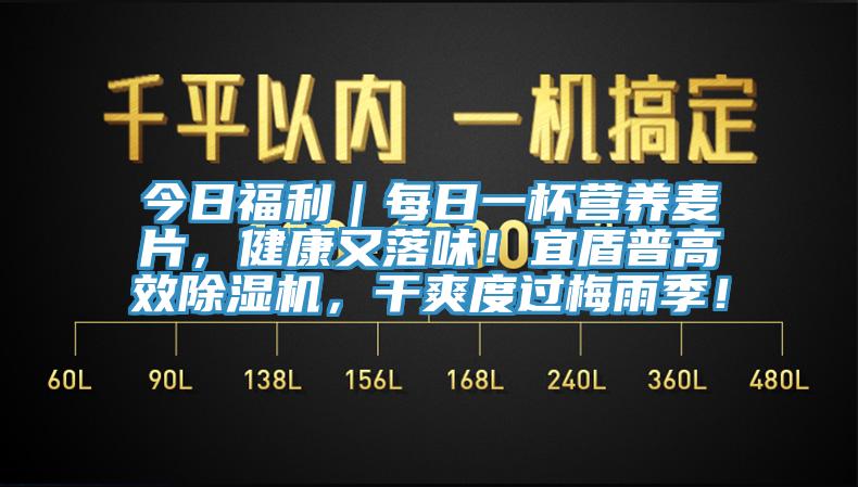 今日福利｜每日一杯营养麦片，健康又落味！宜盾普高效除湿机，干爽度过梅雨季！