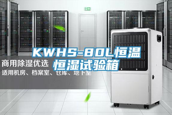 KWHS-80L恒温恒湿试验箱