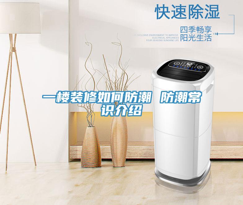 一楼装修如何防潮 防潮常识介绍