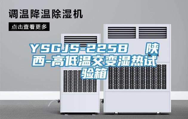 YSGJS-225B  陕西-高低温交变湿热试验箱