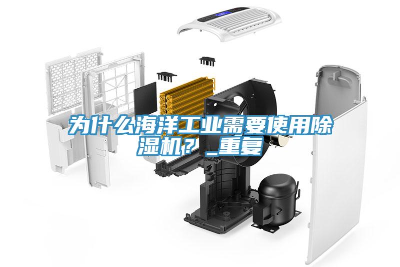 为什么海洋工业需要使用除湿机？_重复