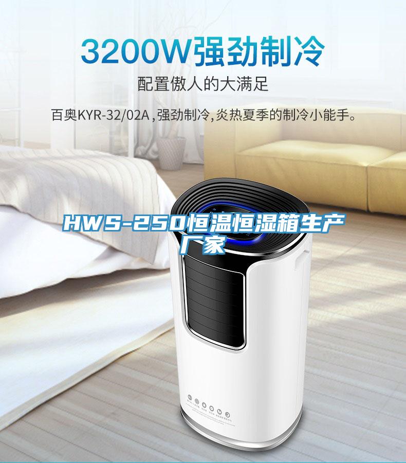HWS-250恒温恒湿箱生产厂家