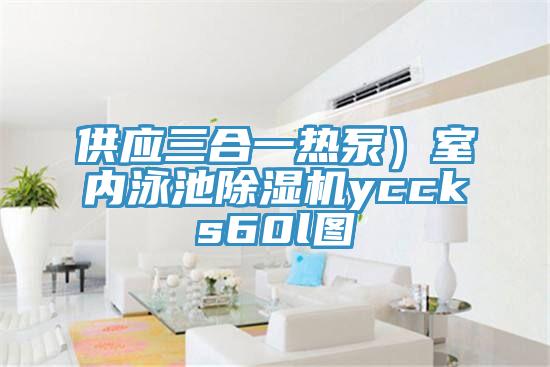 供应三合一热泵）室内泳池除湿机yccks60l图