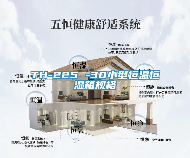 TH-225 -30小型恒温恒湿箱规格