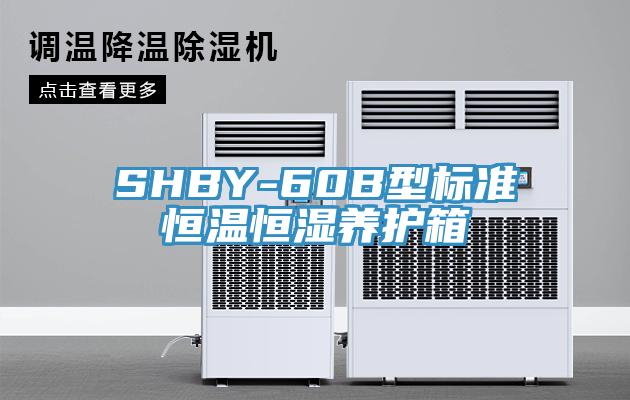 SHBY-60B型标准恒温恒湿养护箱
