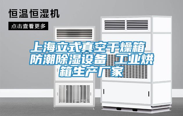 上海立式真空干燥箱 防潮除湿设备 工业烘箱生产厂家