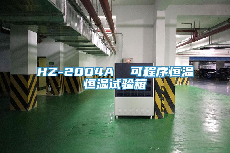 HZ-2004A  可程序恒温恒湿试验箱
