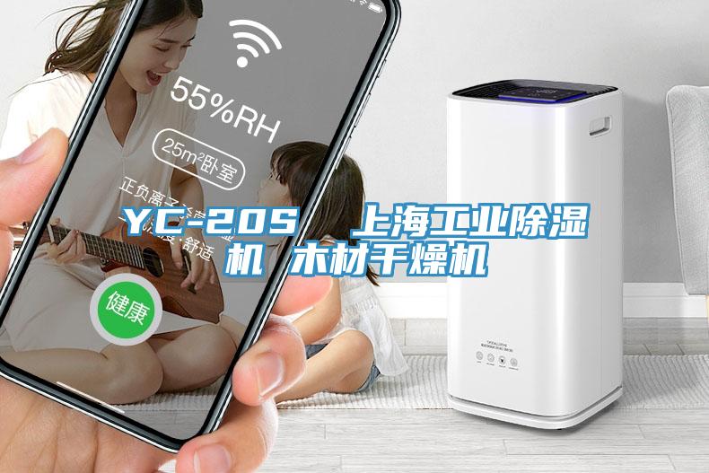 YC-20S  上海工业除湿机 木材干燥机