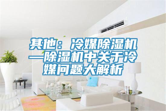 其他：冷媒除湿机—除湿机中关于冷媒问题大解析