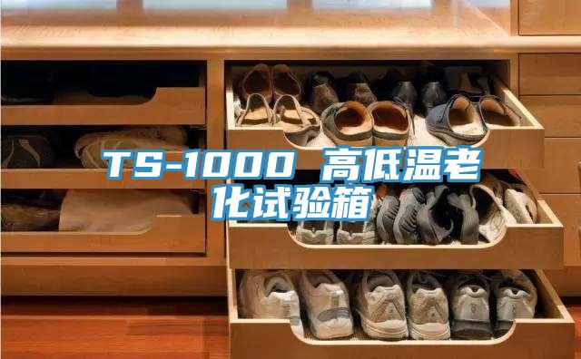 TS-1000 高低温老化试验箱