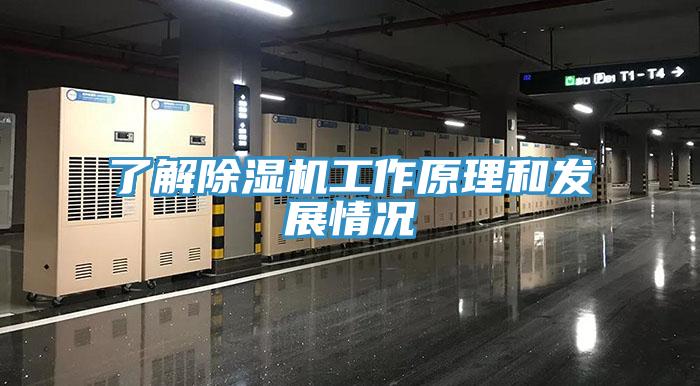了解除湿机工作原理和发展情况