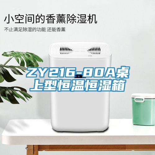ZY216-80A桌上型恒温恒湿箱