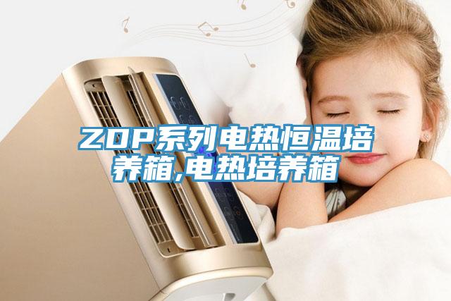 ZDP系列电热恒温培养箱,电热培养箱