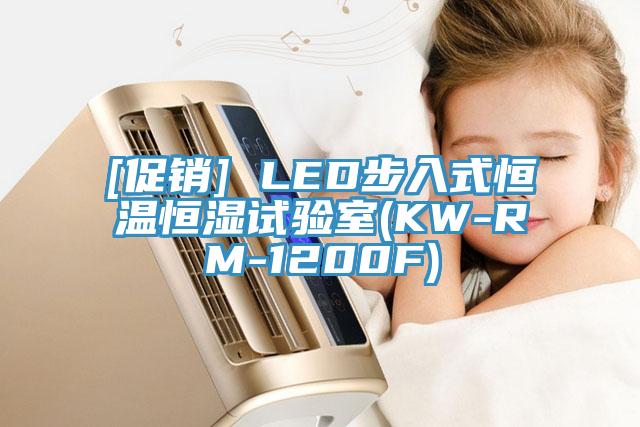 [促销] LED步入式恒温恒湿试验室(KW-RM-1200F)