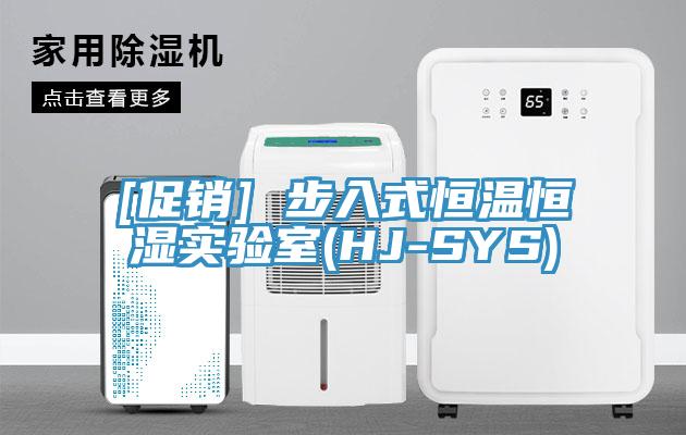 [促销] 步入式恒温恒湿实验室(HJ-SYS)