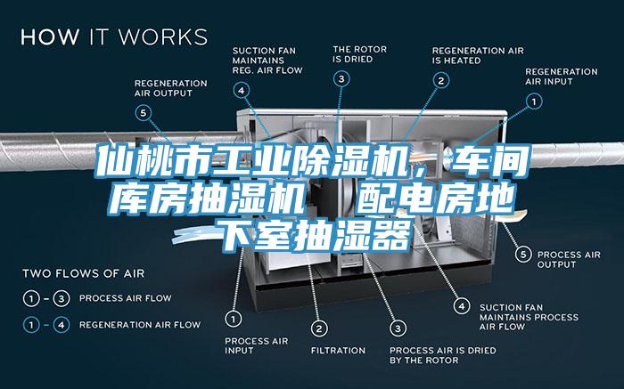 仙桃市工业除湿机，车间库房抽湿机  配电房地下室抽湿器
