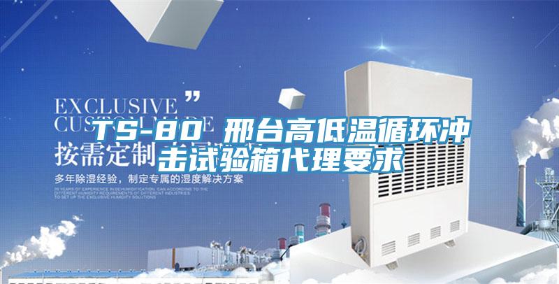 TS-80 邢台高低温循环冲击试验箱代理要求