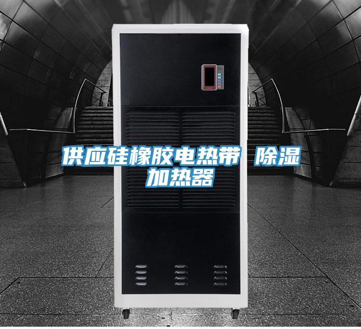 供应硅橡胶电热带 除湿加热器