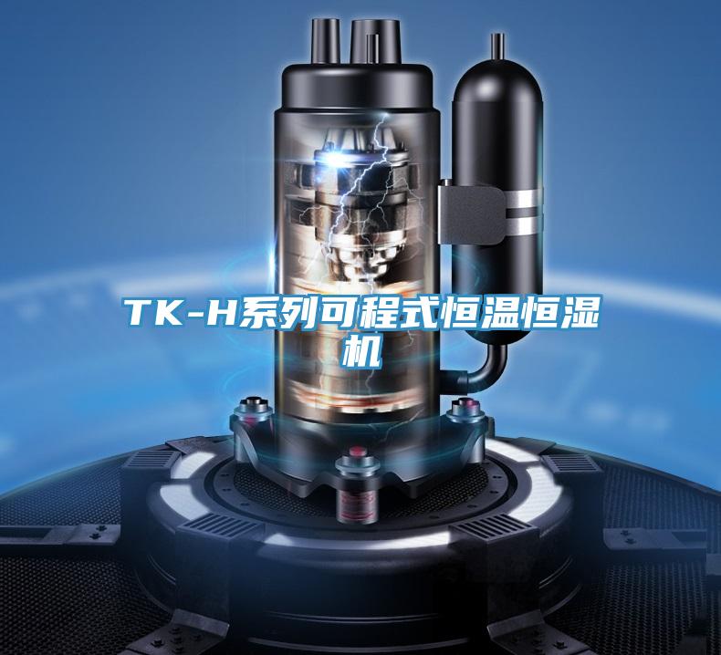 TK-H系列可程式恒温恒湿机