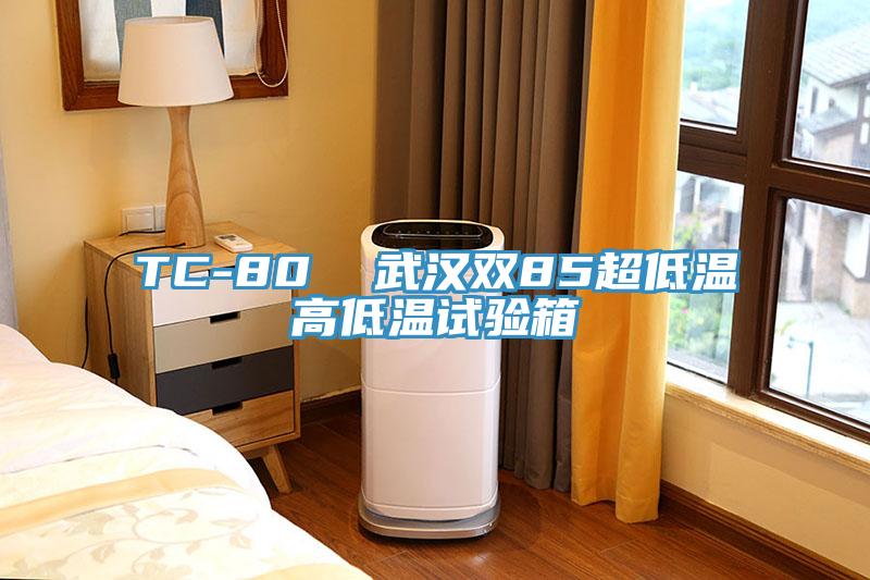 TC-80  武汉双85超低温高低温试验箱