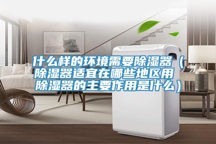 什么样的环境需要除湿器（除湿器适宜在哪些地区用 除湿器的主要作用是什么）