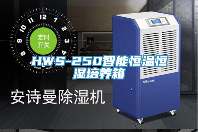 HWS-250智能恒温恒湿培养箱