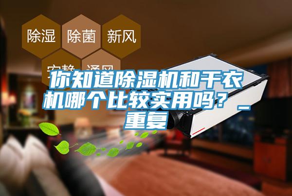 你知道除湿机和干衣机哪个比较实用吗？_重复
