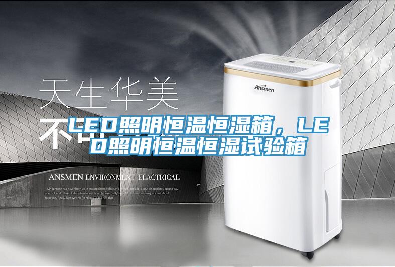 LED照明恒温恒湿箱，LED照明恒温恒湿试验箱