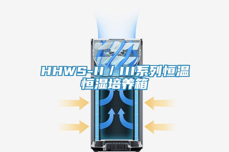 HHWS-II／III系列恒温恒湿培养箱