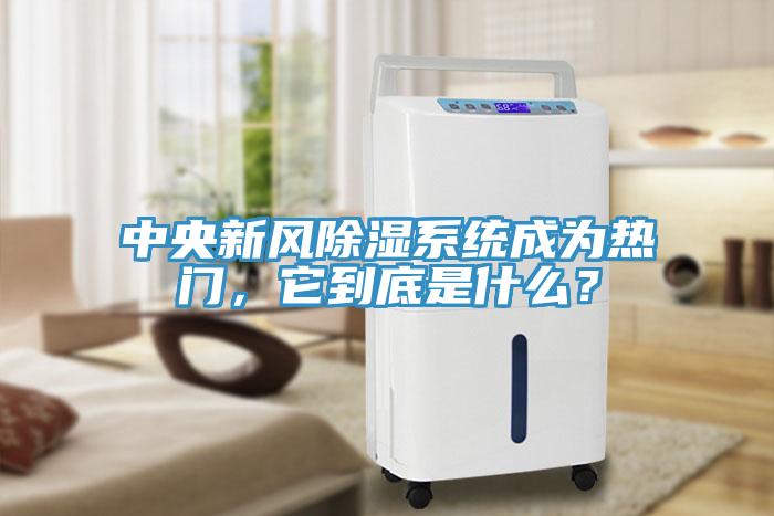 中央新风除湿系统成为热门，它到底是什么？